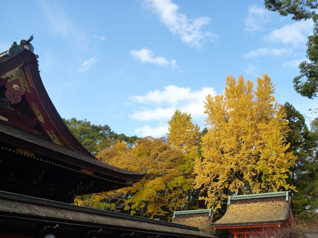 紅葉に誘われ御土居に遊び、二つの川に御所の名残を見る_e0027240_1875626.jpg