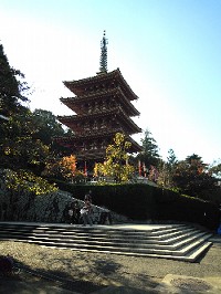 高幡不動尊_b0131046_2118687.jpg