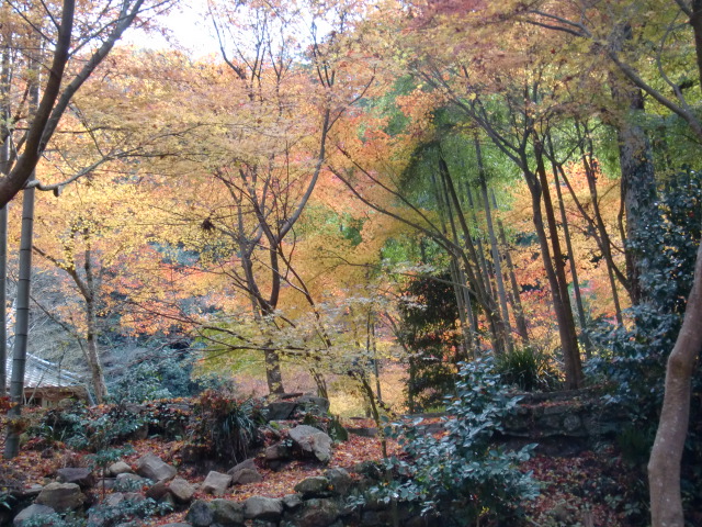 b0152548_8367100.jpg