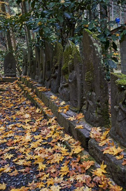 「御岩神社」の黄葉・・・入四間町_f0089349_18304832.jpg