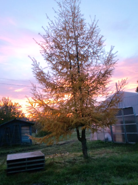 f0104457_11643100.jpg