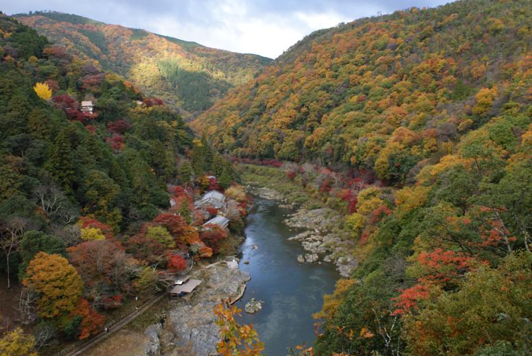 嵐山・亀山公園の紅葉_b0063958_19315221.jpg