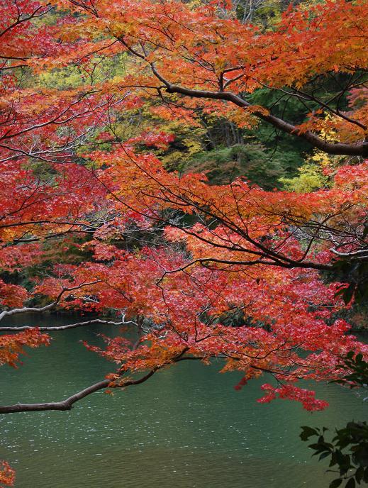 嵐山・亀山公園の紅葉_b0063958_19325171.jpg