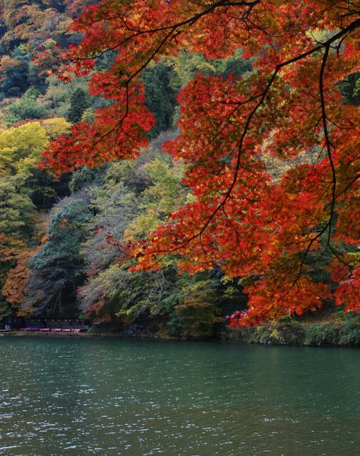 嵐山・亀山公園の紅葉_b0063958_19332437.jpg