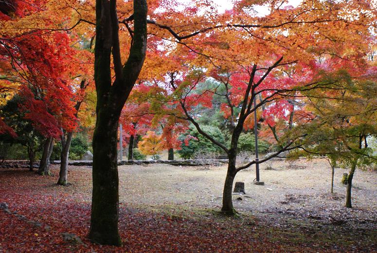 嵐山・亀山公園の紅葉_b0063958_19352049.jpg
