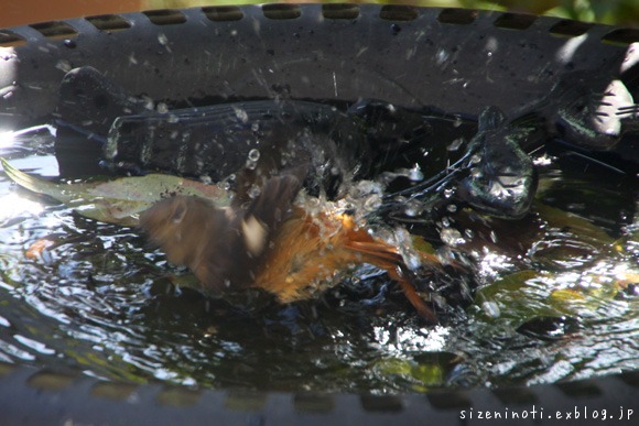f0147858_14445727.jpg
