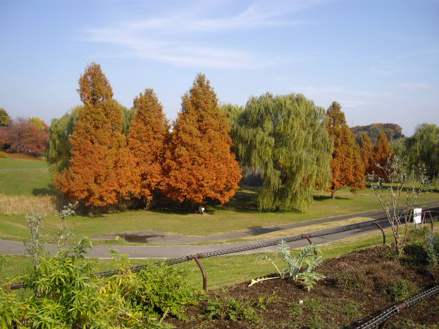 d0116059_1942512.jpg