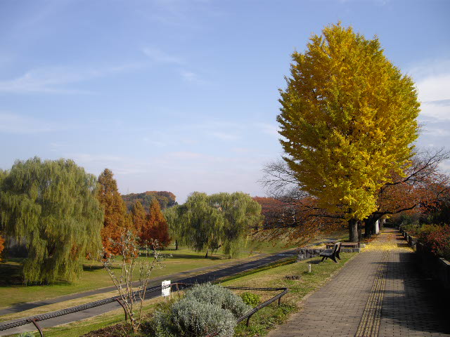 d0116059_1947847.jpg