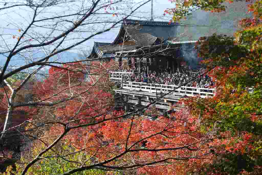 京都ＪＲ　割引ツアー　（龍馬伝　清水寺）2010-11-23_c0155460_1973831.jpg