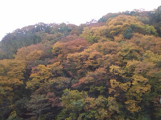 f0061067_1932014.jpg