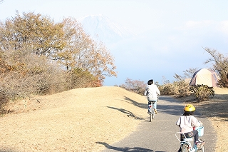 f0052068_1202826.jpg