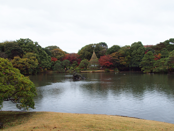 東京散策＊11月2回目～六義園～_a0161380_23292266.jpg