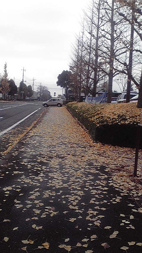 c0175182_13302457.jpg