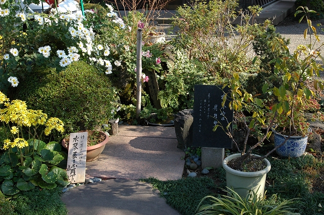 c0212083_16104847.jpg