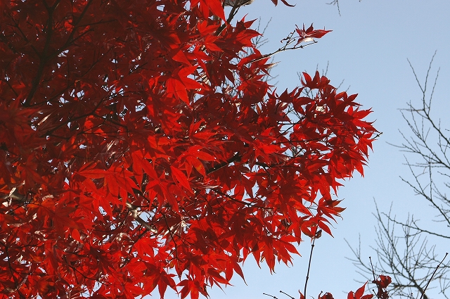 c0212083_16181047.jpg