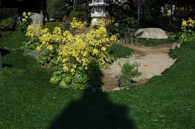 c0212083_1685851.jpg
