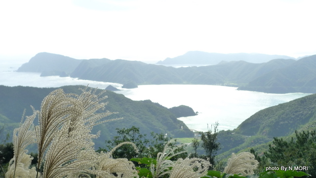 b0115085_21223719.jpg