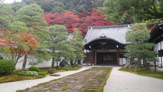 d0034291_814285.jpg