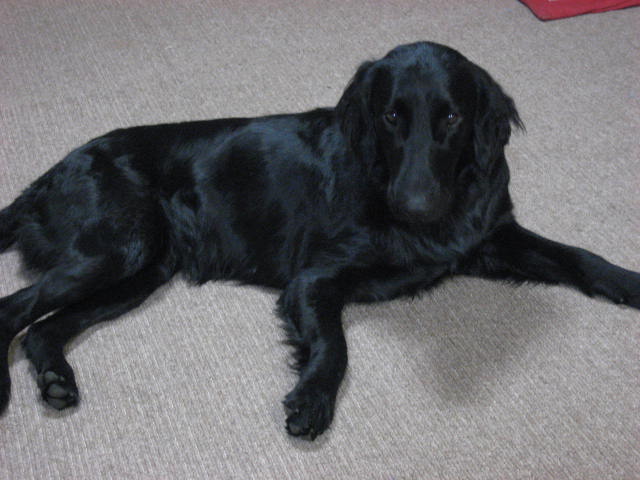e0140491_1203429.jpg