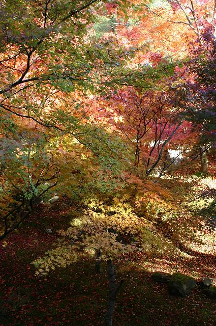 東福寺～今熊野観音寺～東山七条_e0061694_011457.jpg