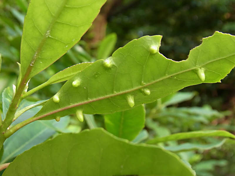 f0204094_2323834.jpg