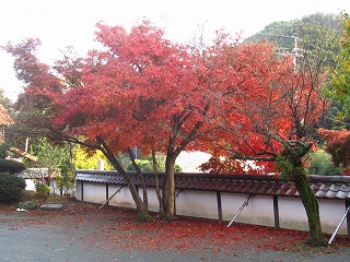 大円寺と筑後路の古刹めぐり（千寿の楽しい歴史）_a0137997_122084.jpg