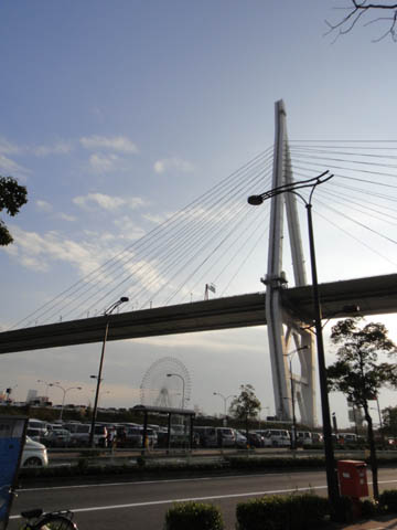 d0004301_13427.jpg