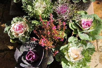 a0123003_1872688.jpg