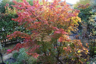 a0123003_1985471.jpg