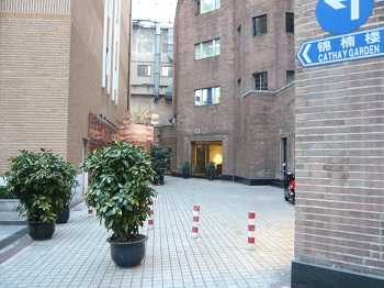 c0035904_14151145.jpg