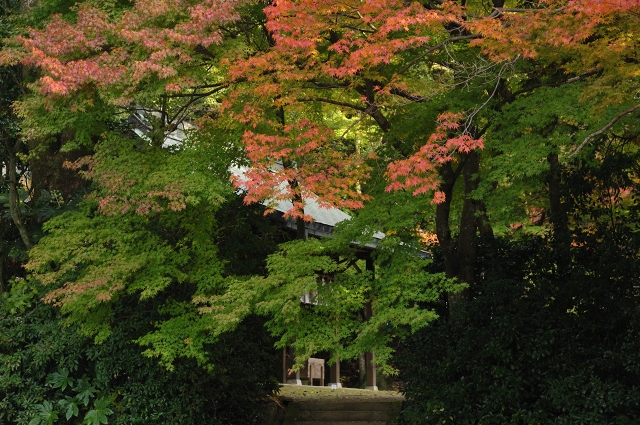 等彌神社_c0186005_2233835.jpg