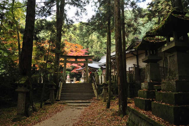 等彌神社_c0186005_224393.jpg