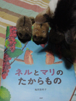 ヤマネたちとミュウミュウ_a0116106_018409.jpg