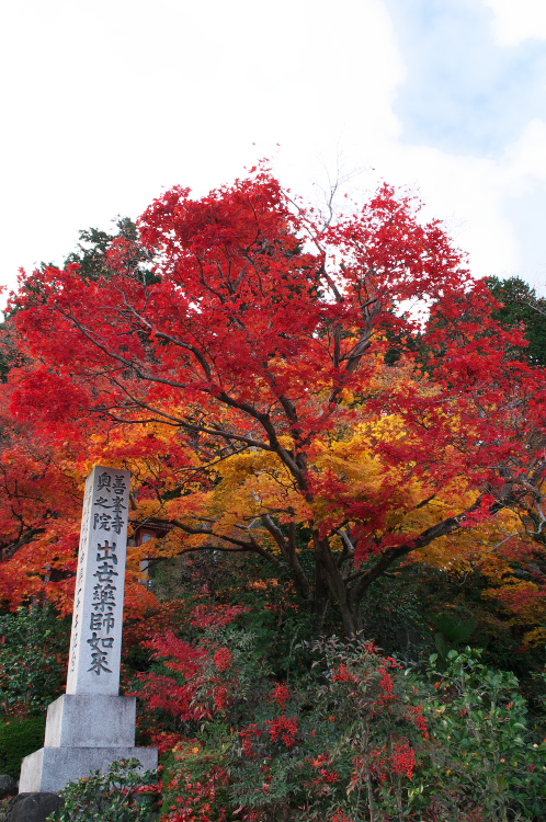 善峰寺　-その弐-_f0112806_1993196.jpg