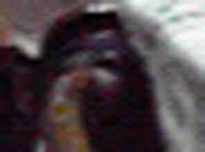 e0103408_0524549.gif