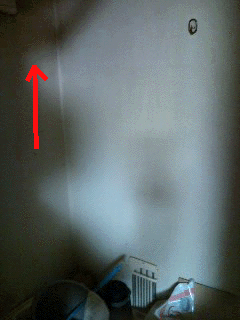 e0103408_13184268.gif