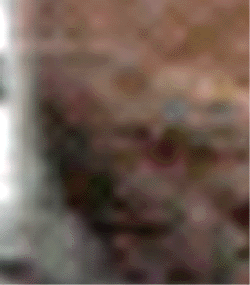 e0103408_135284.gif