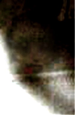 e0103408_1395083.gif