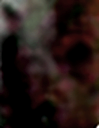e0103408_142273.gif