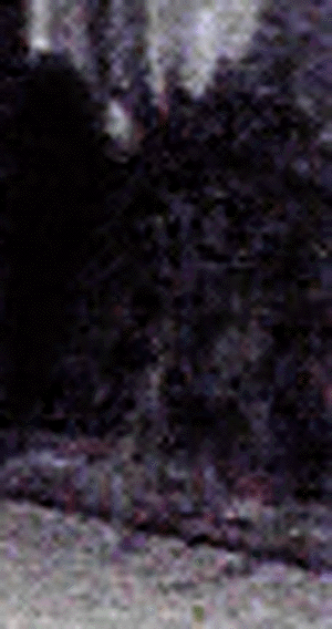 e0103408_151952.gif