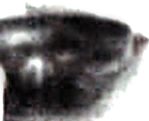e0103408_16594157.gif