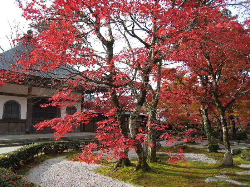 紅葉の永源寺と湖東三山の旅_d0154609_11321270.jpg