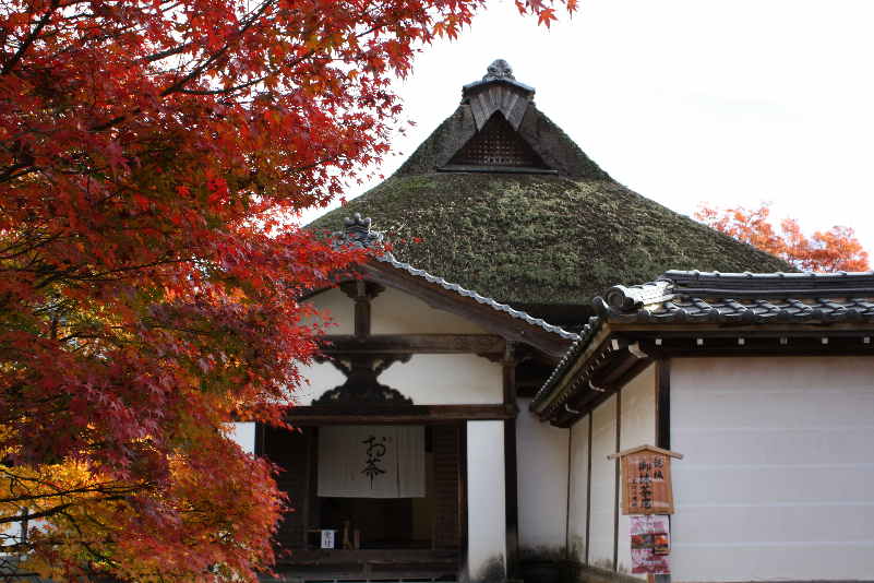 紅葉の永源寺と湖東三山の旅_d0154609_11384996.jpg