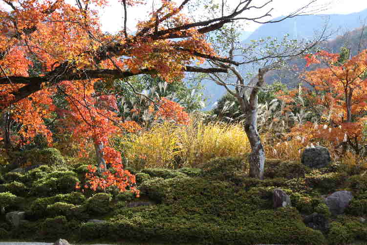 紅葉の永源寺と湖東三山の旅_d0154609_11473458.jpg