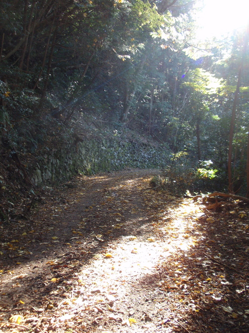 b0176111_23322479.jpg