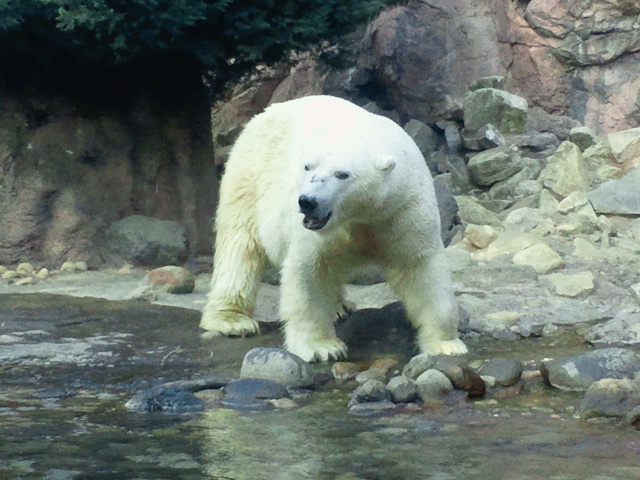 1年振りの横浜ズーラシア_a0151913_14182285.jpg