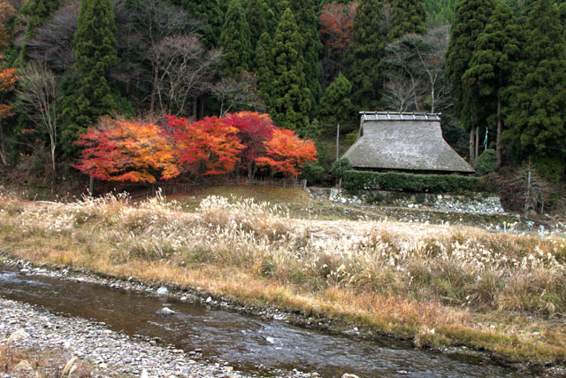 美山町 佐々里の秋_e0048413_20423312.jpg