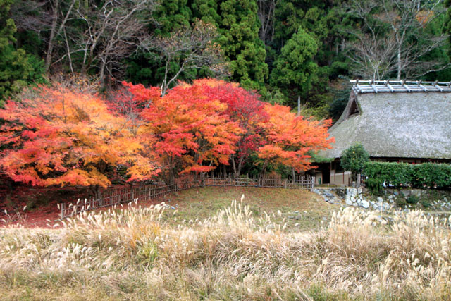 美山町 佐々里の秋_e0048413_20424544.jpg