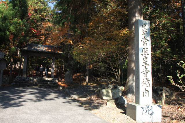 常照皇寺_e0048413_22164010.jpg