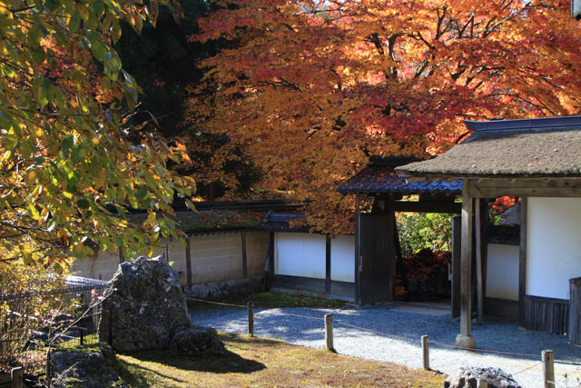常照皇寺_e0048413_22172040.jpg